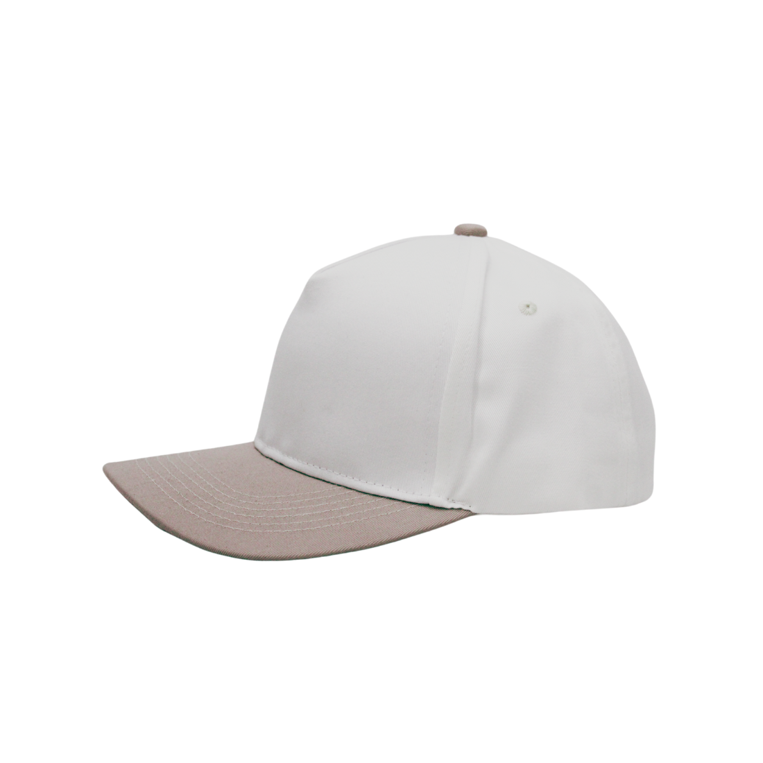 2- Tone Plain Canvas Caps